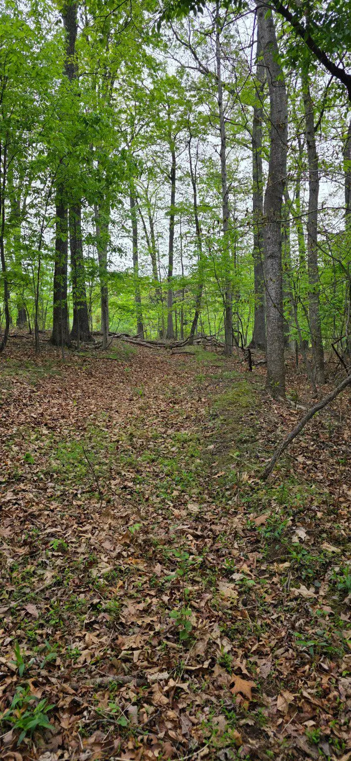 0 Audubon Rd, Hedgesville, WV 25427 - #1