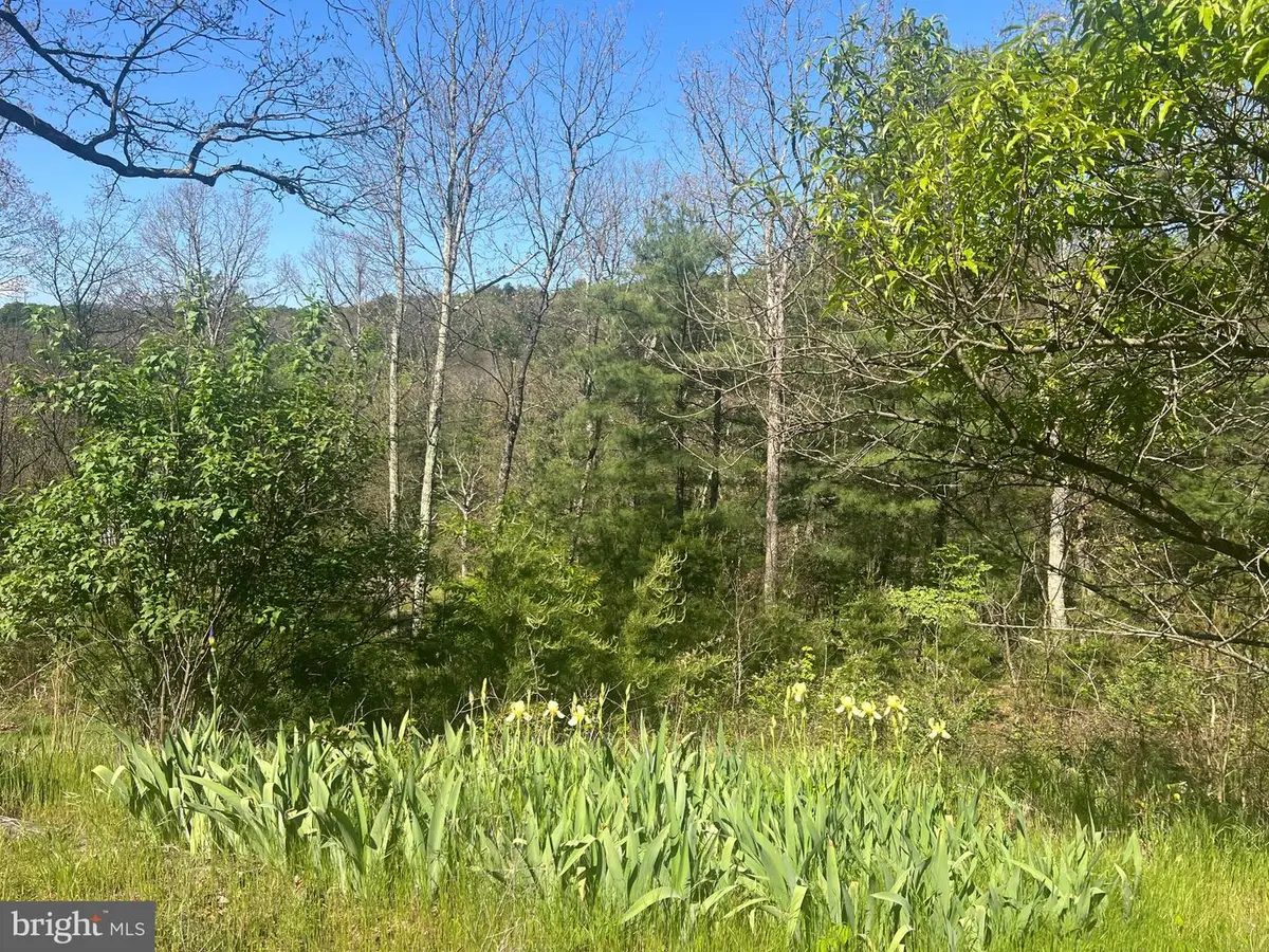 73 Mullen Ln, Berkeley Springs, WV 25411 - #1