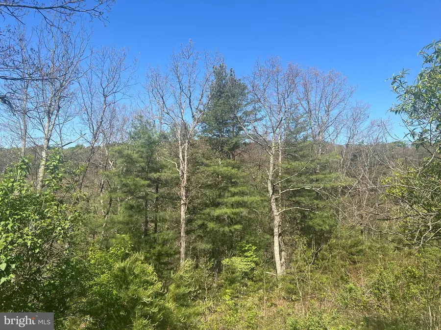 73 Mullen Ln, Berkeley Springs, WV 25411 - #2