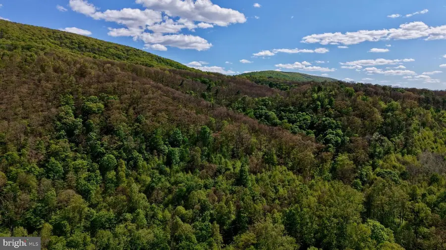 42 Kodiak Ln, Great Cacapon, WV 25422 - #3