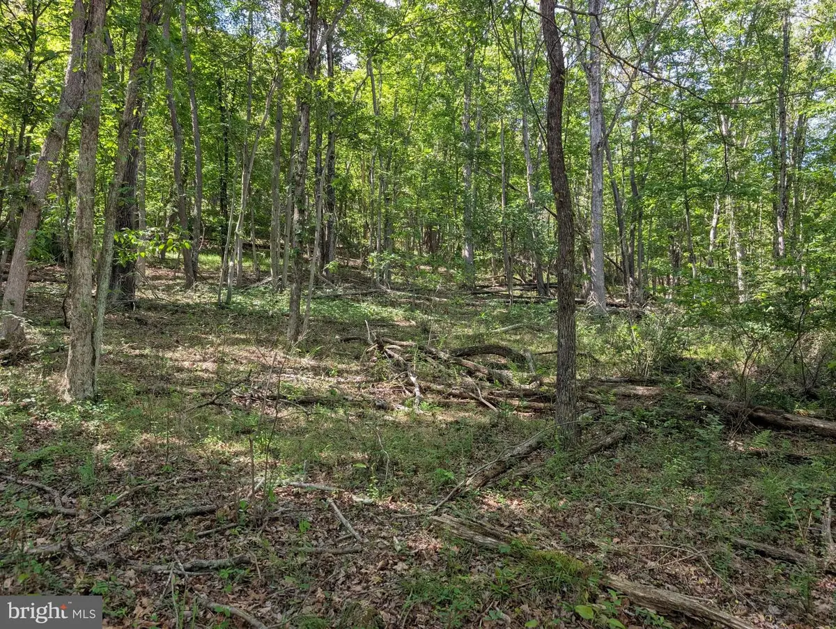 301 Bottom Rd, Great Cacapon, WV 25422 - #1