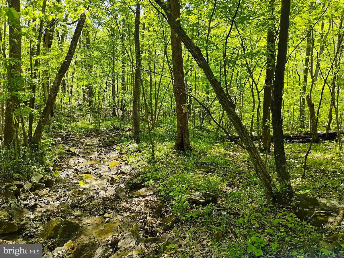 Sir Johns Run Rd, Berkeley Springs, WV 25411 - #1