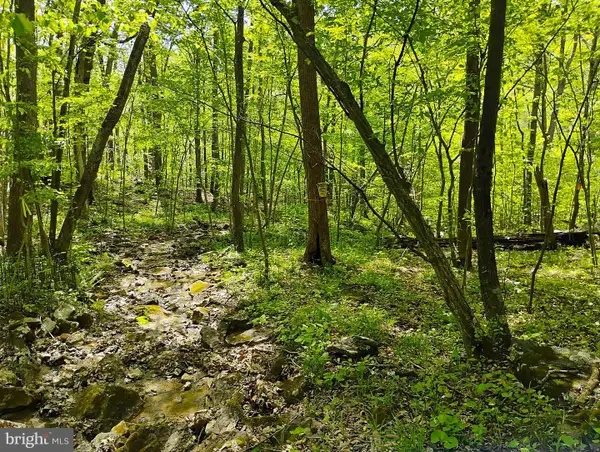 Sir Johns Run Rd, BERKELEY SPRINGS, WV 25411