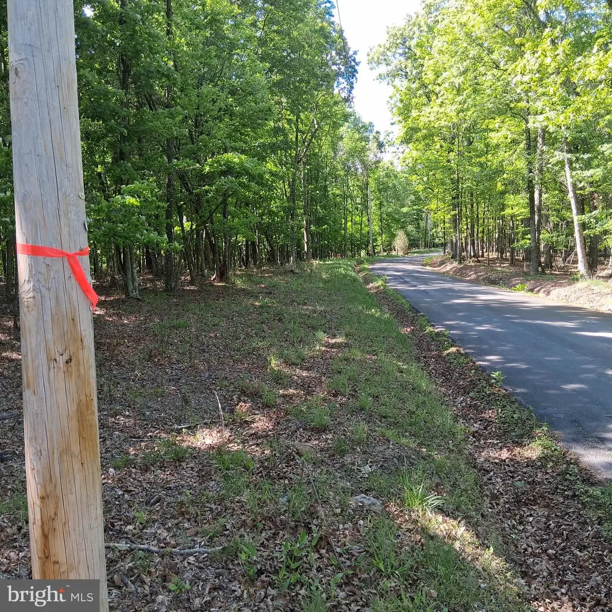 Lot 1 Youngblood Road, Great Cacapon, WV 25422 - #1