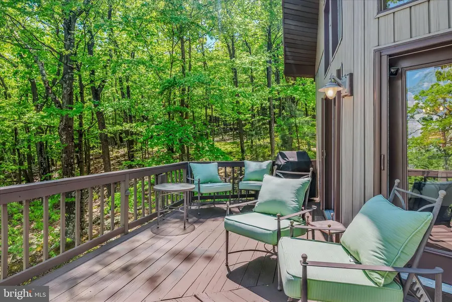 599 Breathless Way, Berkeley Springs, WV 25411 - #3