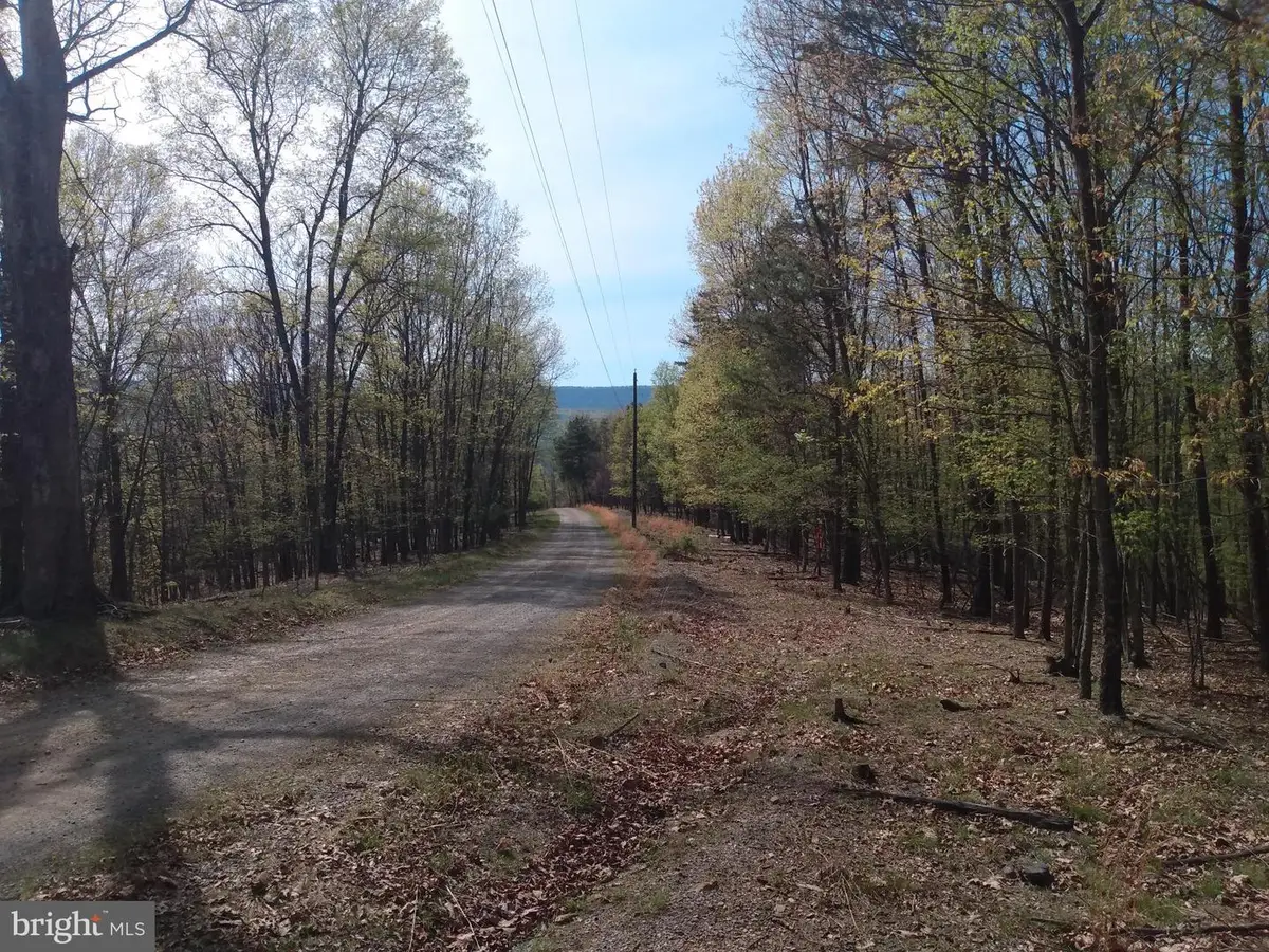 Lot 84 Roundtop Lane, Berkeley Springs, WV 25411 - #1