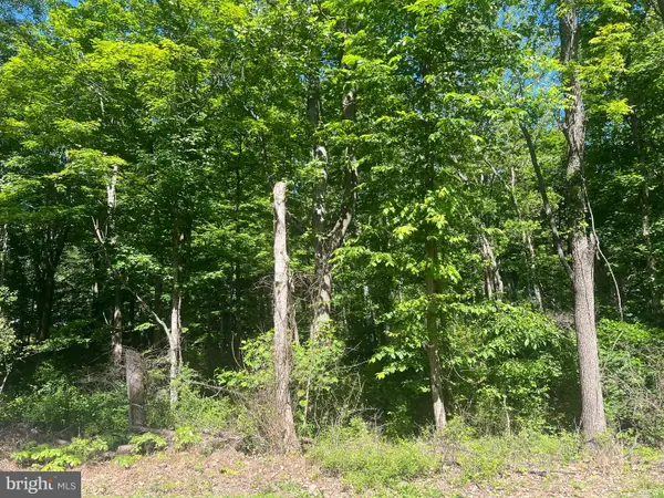 Cold Run Valley Road, BERKELEY SPRINGS, WV 25411
