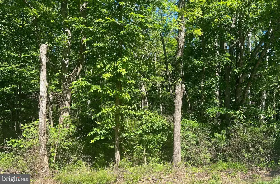Cold Run Valley Road, Berkeley Springs, WV 25411 - #3