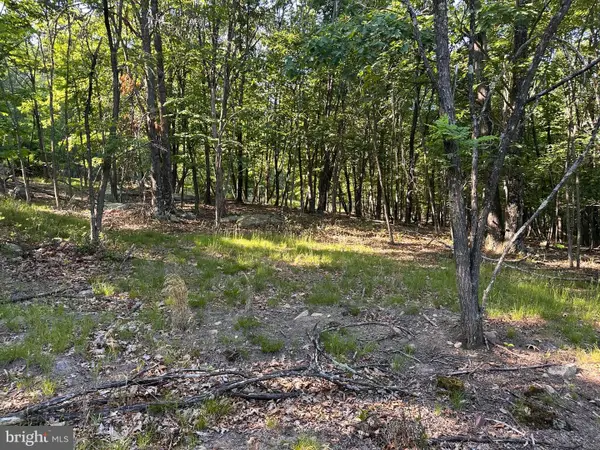 Lot 56 Parkside Drive, BERKELEY SPRINGS, WV 25411