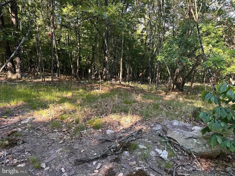 Lot 56 Parkside Drive, Berkeley Springs, WV 25411 - #2