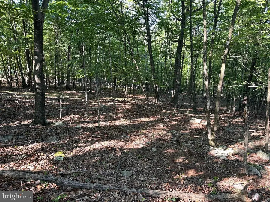 Lot 56 Parkside Drive, Berkeley Springs, WV 25411 - #3