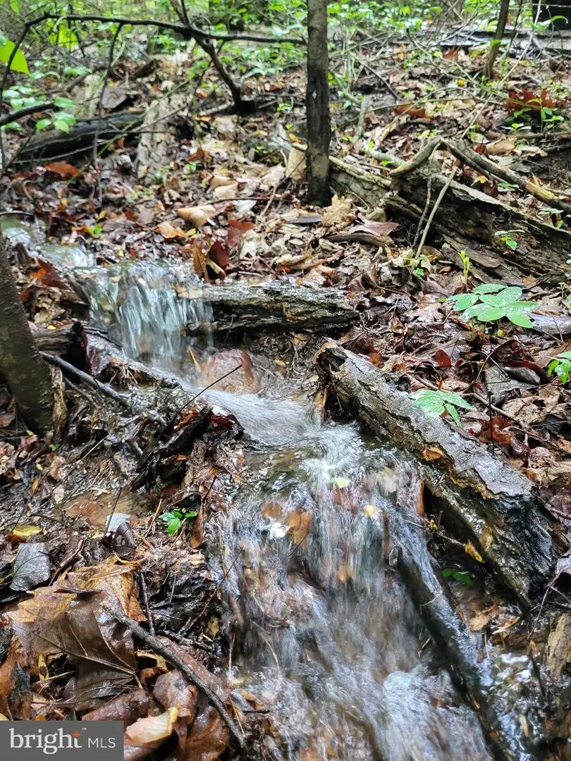 Lot 12 Feather Bed Ln, Hedgesville, WV 25427 - #1