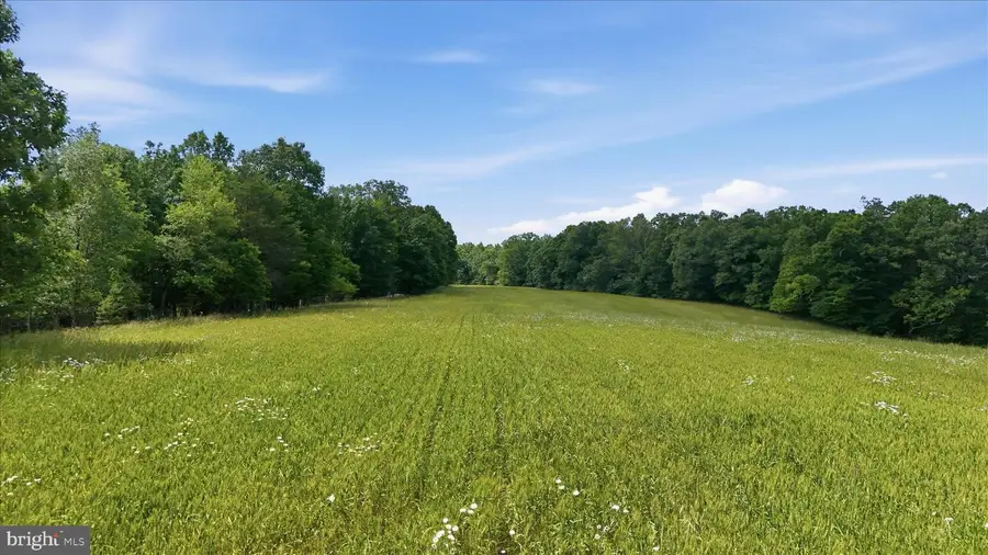 Posey Hollow, Berkeley Springs, WV 25411 - #3