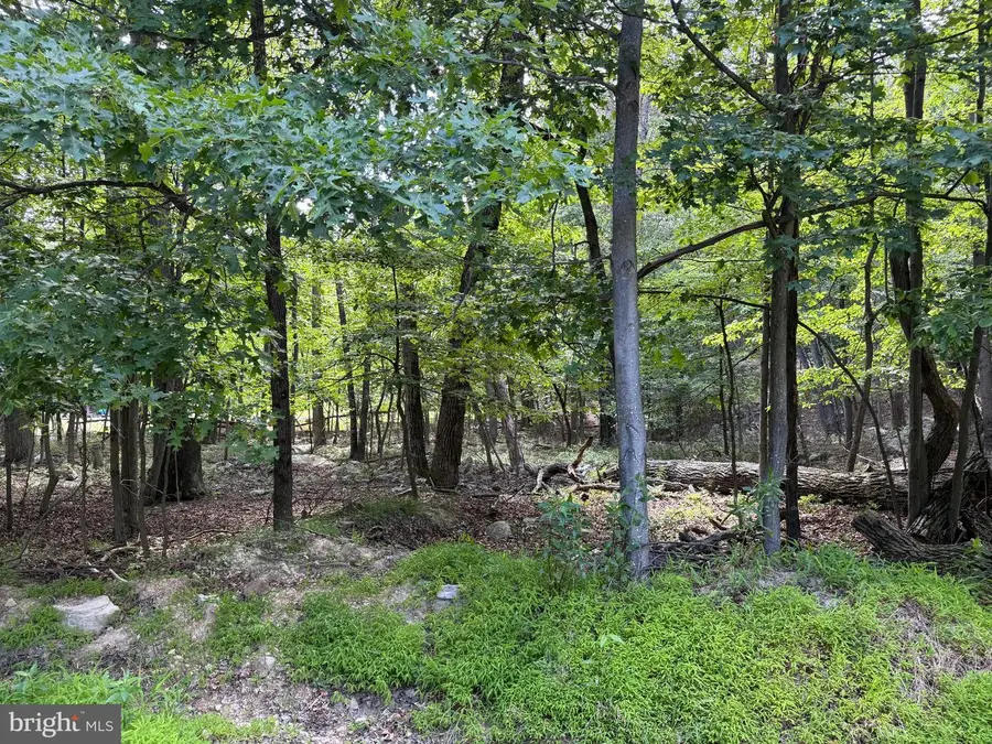 Roberts Rd, Great Cacapon, WV 25422 - #2