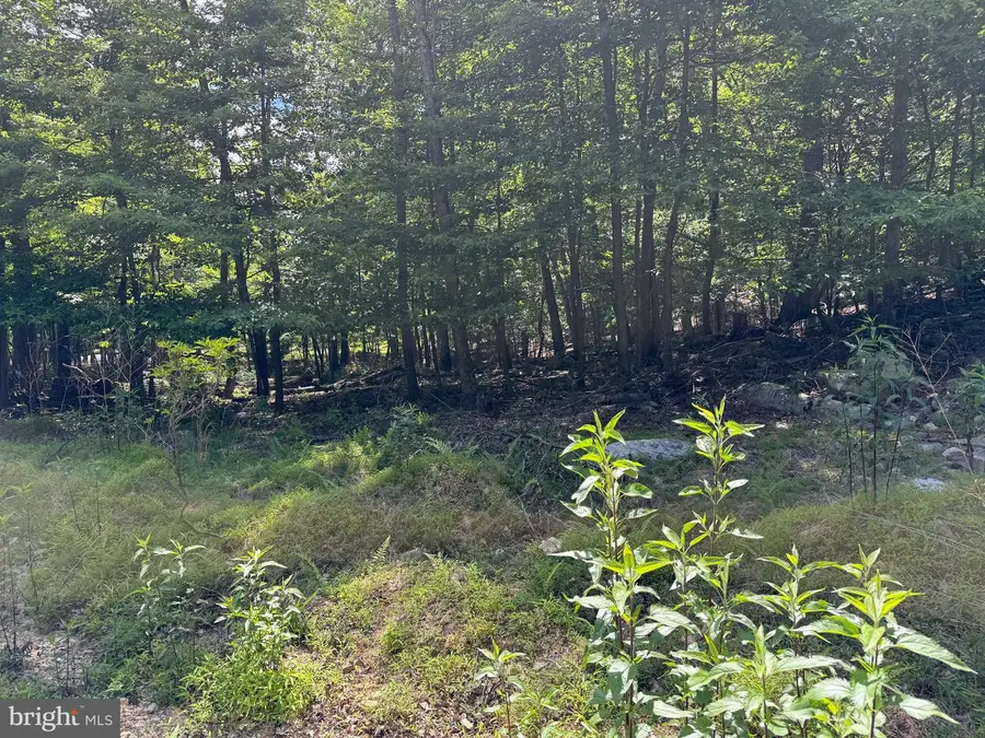 Roberts Rd, Great Cacapon, WV 25422 - #3