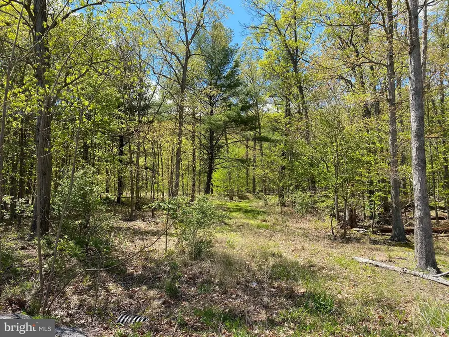 84 Alex Ln, Berkeley Springs, WV 25411 - #2