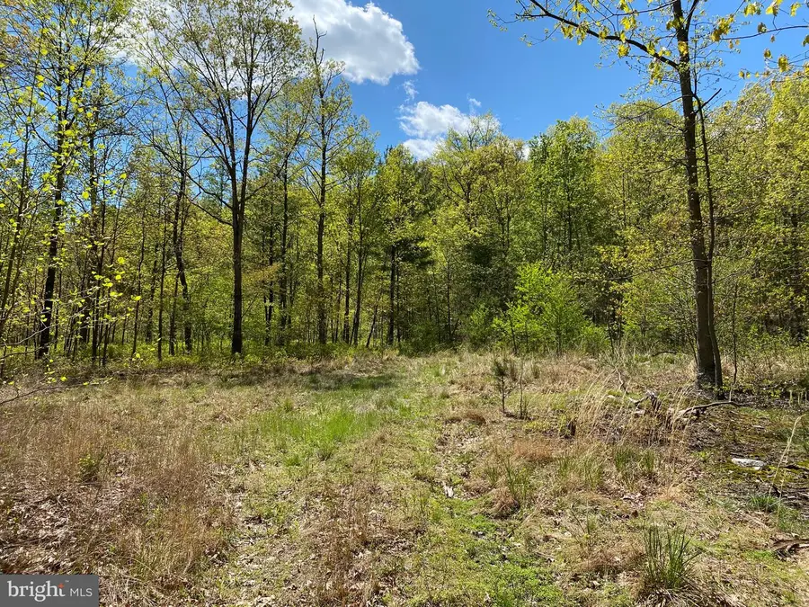 84 Alex Ln, Berkeley Springs, WV 25411 - #3