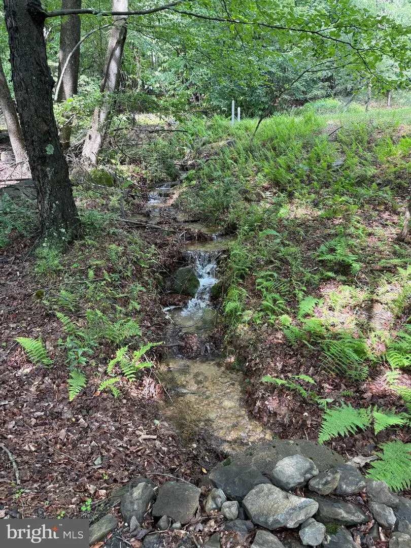 Lot 70 Parkside Ct, Berkeley Springs, WV 25411 - #3