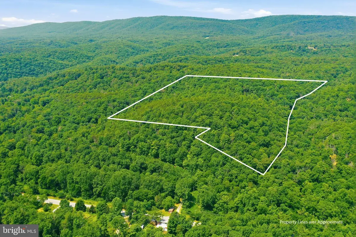 Chase Woods Lane Lots 2-6, Great Cacapon, WV 25422 - #1