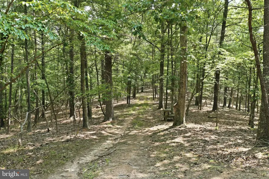 Chase Woods Lane Lots 2-6, Great Cacapon, WV 25422 - #2