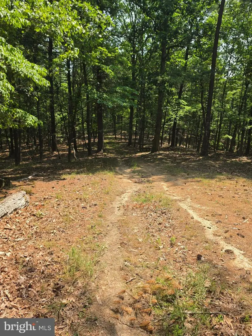 Chase Woods Lane Lots 2-6, Great Cacapon, WV 25422 - #3