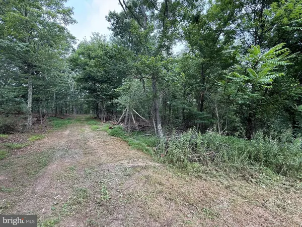 Hungaria Avenue, BERKELEY SPRINGS, WV 25411