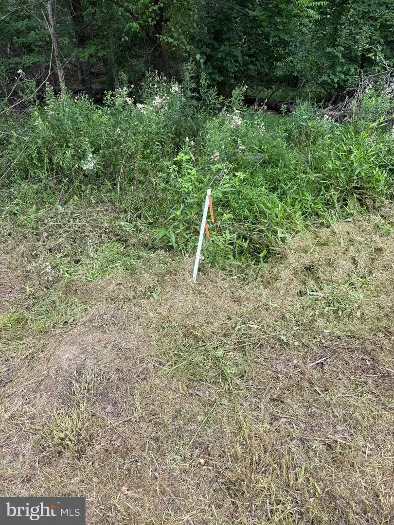 Hungaria Avenue, Berkeley Springs, WV 25411 - #2