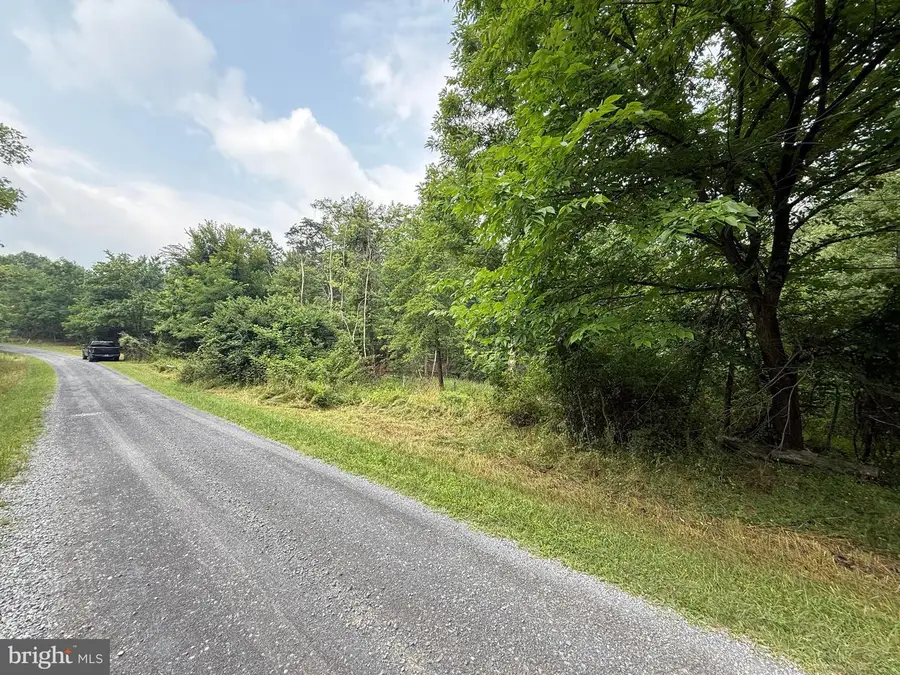 Hungaria Avenue, Berkeley Springs, WV 25411 - #3