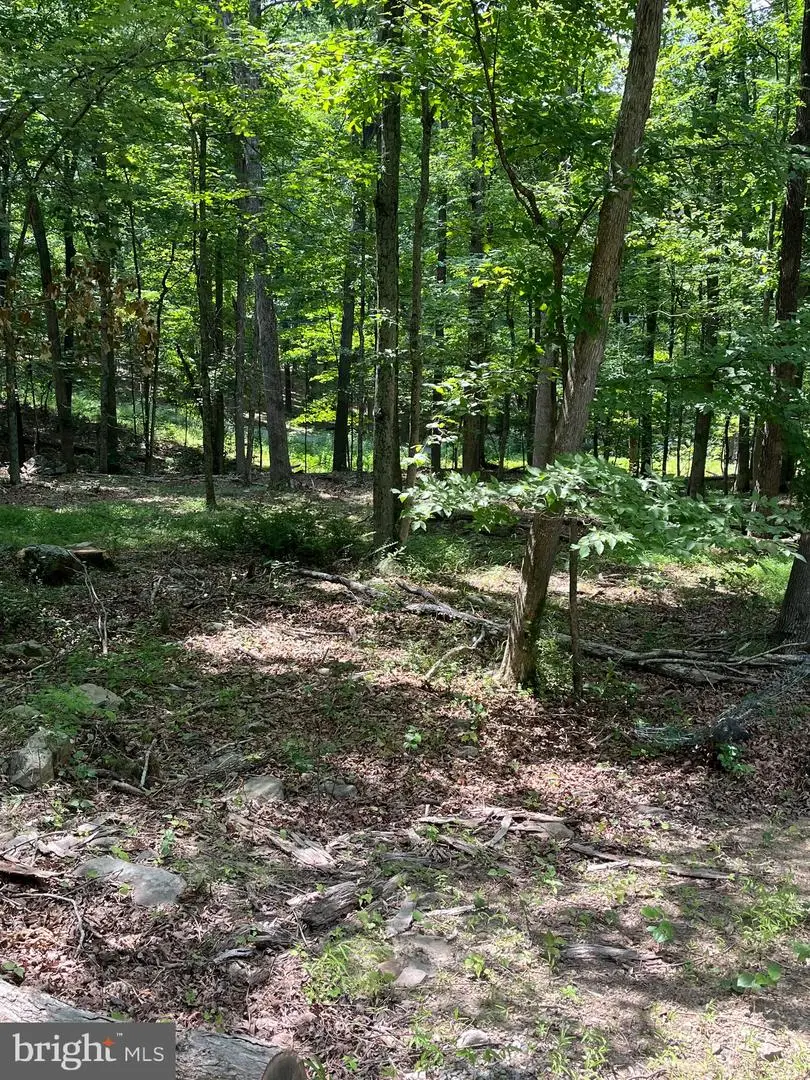 43 Seneca Ridge Rd, Great Cacapon, WV 25422 - #2