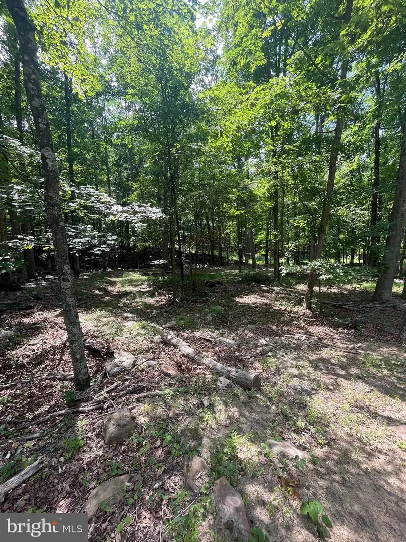 83 Seneca Ridge Rd, Great Cacapon, WV 25422 - #2