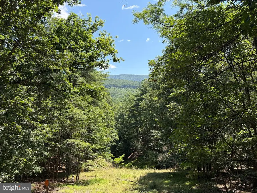 791 Cedar Run Ln, Great Cacapon, WV 25422 - #2
