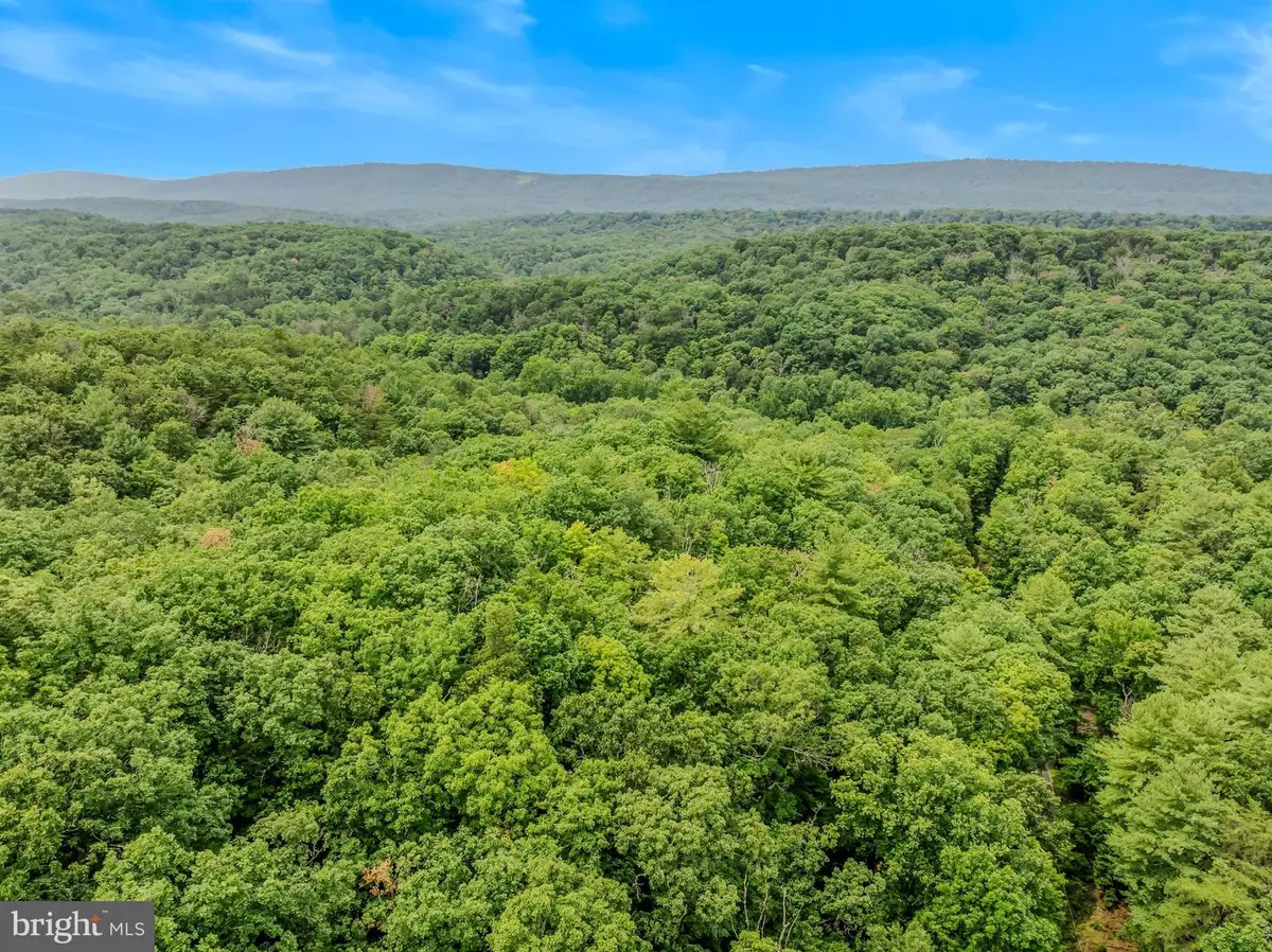 Cacapon Retreat Lane, Great Cacapon, WV 25422 - #1