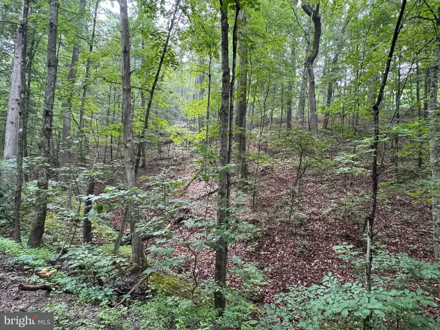 Cacapon Retreat Lane, Great Cacapon, WV 25422 - #2