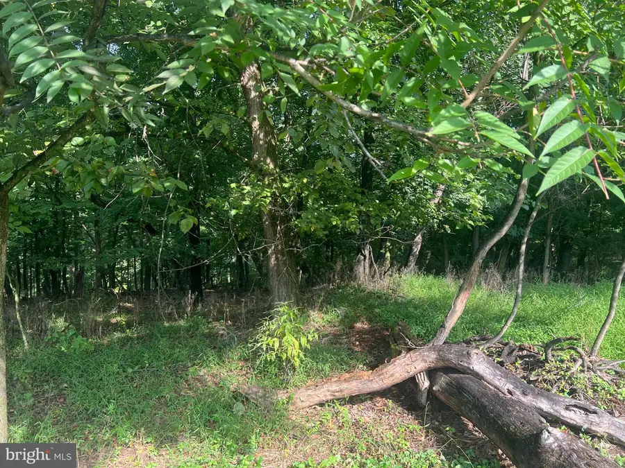 142 Golden Ln, Berkeley Springs, WV 25411 - #3