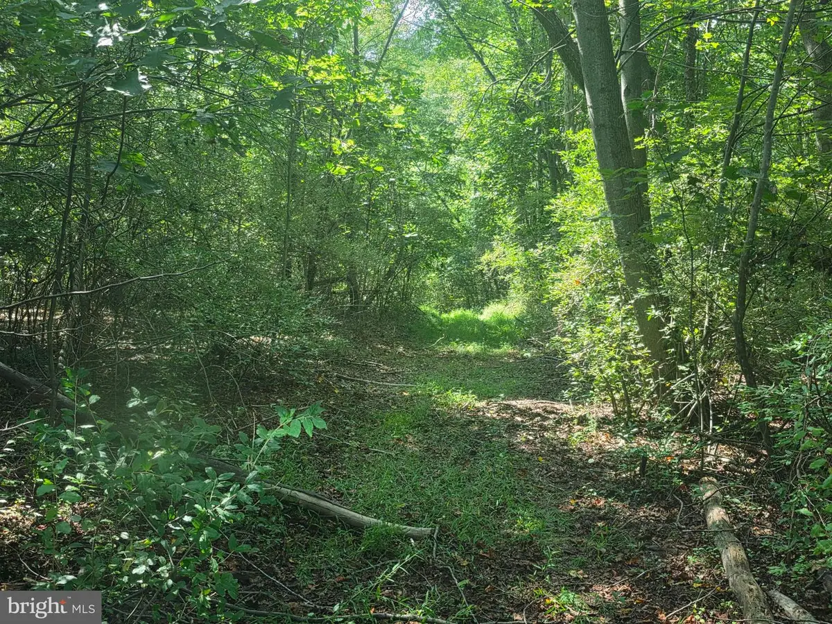 Terry's Road #lot 35a, Berkeley Springs, WV 25411 - #1
