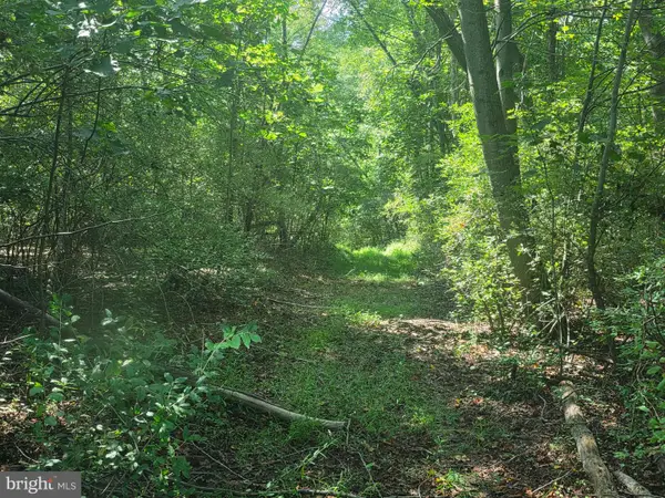 Terry's Road #lot 35a, BERKELEY SPRINGS, WV 25411