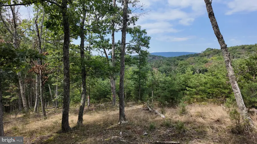 29 Acres Gaither Rd, Great Cacapon, WV 25422 - #2