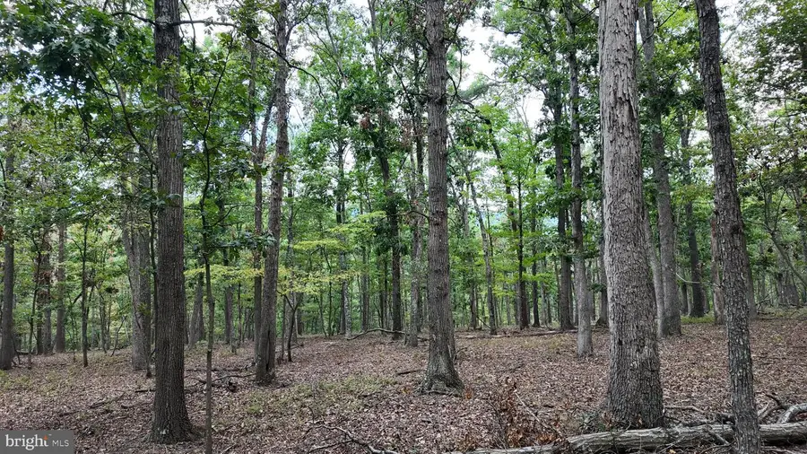 29 Acres Gaither Rd, Great Cacapon, WV 25422 - #3