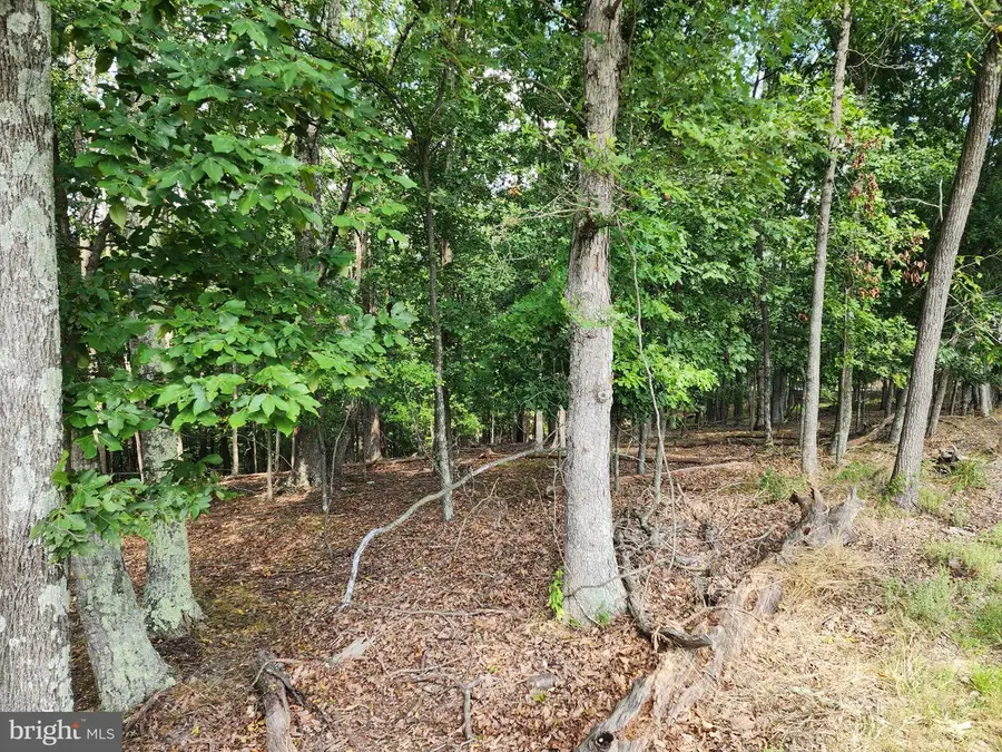 2.53 Acres Timber Ridge Rd, Berkeley Springs, WV 25411 - #2