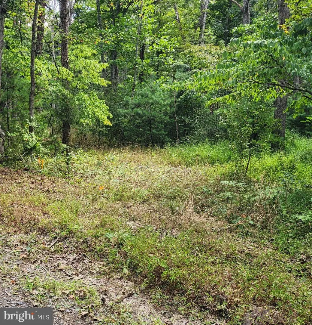 380 Conners Hollow Rd, Great Cacapon, WV 25422 - #1