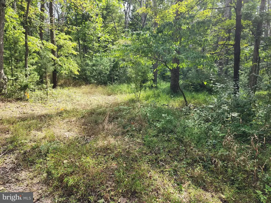 380 Conners Hollow Rd, Great Cacapon, WV 25422 - #2