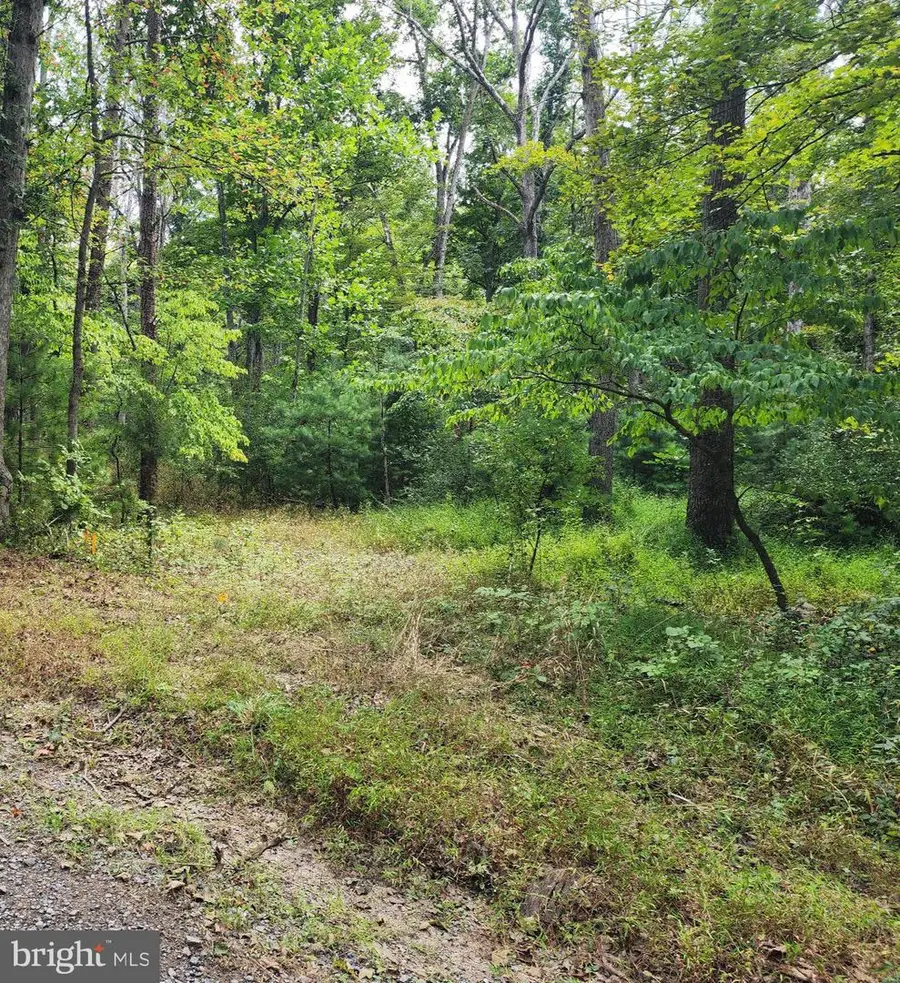 380 Conners Hollow Rd, Great Cacapon, WV 25422 - #3