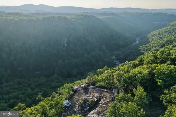 826 Ridge Run Rd, MOUNT LOOKOUT, WV 26678