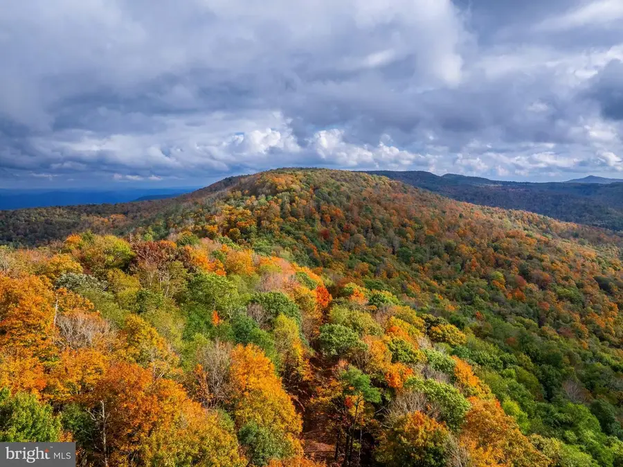 Laurel Creek Trl, Marlinton, WV 24954 - Image #3