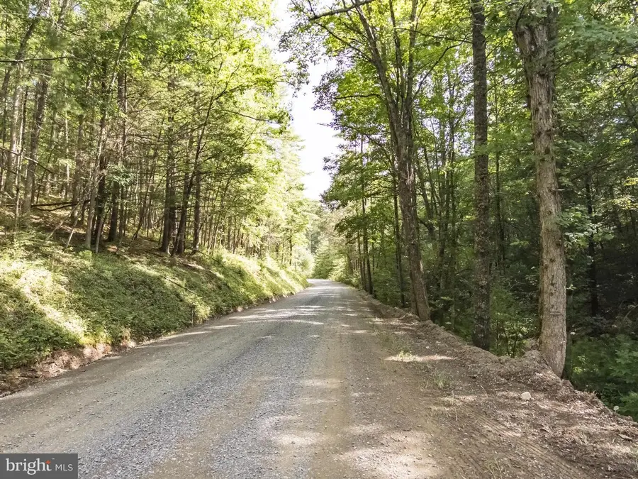 0 Douthards Creek Rd, Marlinton, WV 24954 - Image #2