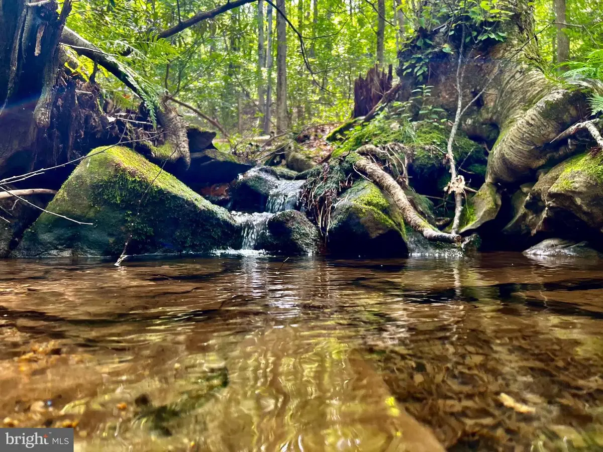 Tbd Chidester Rd, Terra Alta, WV 26764 - Image #1