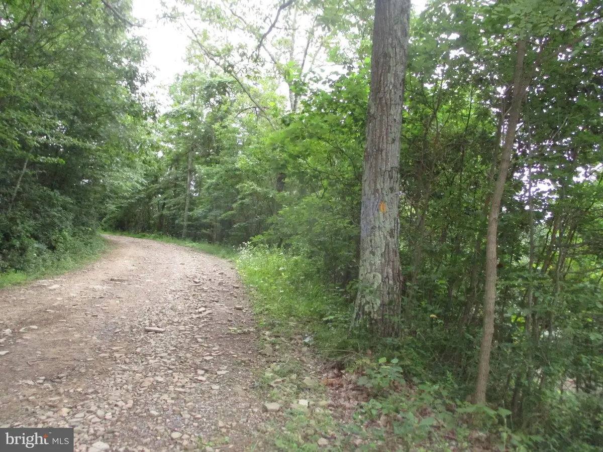 1000 Snake Rd, Aurora, WV 26705 - Image #1