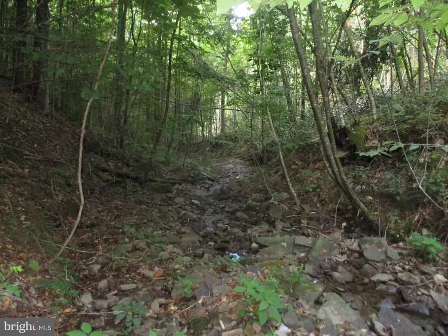 1000 Snake Rd, Aurora, WV 26705 - Image #3