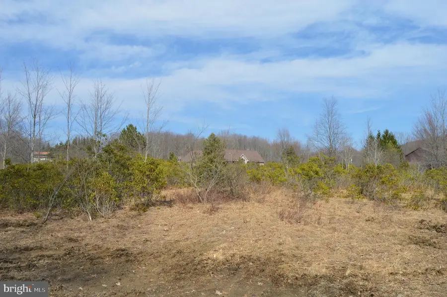 Lot 3 And 4 Grosbeak Dr, Terra Alta, WV 26764 - #3