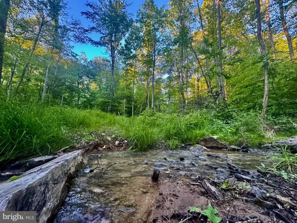 Tract B John Orr Rd, INDEPENDENCE, WV 26374